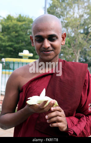 (160310) -- COLOMBO, 10 mars 2016 (Xinhua) -- un des moines bouddhistes du Sri Lanka propose des prières au Sri Maha Bodi, le plus sacré du Sri Lanka, d'arbres à la ville sainte d'Anuradhapura dans le centre-nord de la province, le Sri Lanka, le 9 mars 2016. Cette ville sacrée a été créé autour de la coupe d'un 'arbre de l'illumination', le figuier du Bouddha, il y a dans le 3ème siècle avant J.-C. L'arbre qui a grandi hors de la direction générale se trouve dans la ville d'Anuradhapura et est considérée comme un objet de grande vénération avec des dizaines de milliers visiter Anuradhapura pour rendre hommage. En 1982 la ville sacrée d'Anuradhapura a été en Banque D'Images