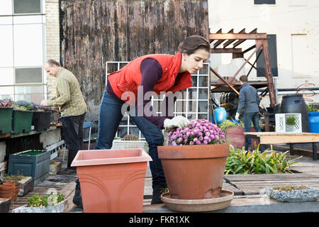 Femme travaillant dans le jardin urbain Banque D'Images