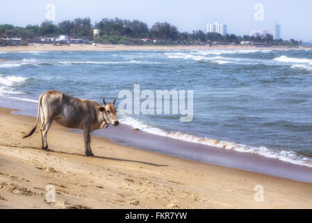 Kovalam beach, Covelong, Chennai, Tamil Nadu, Inde Banque D'Images