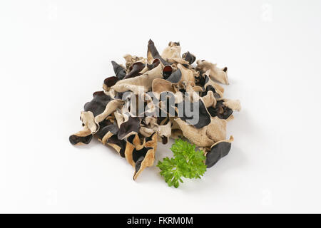 Tas de champignons oreille sur fond blanc Banque D'Images