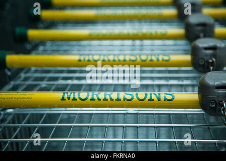 Londres, Royaume-Uni. 10 mars 2016. Chariots de supermarché Morrisons' à l'extérieur vert Bois Store. Supermarché Morrisons chute des bénéfices annuels pour la quatrième année consécutive. Le Bradford-signale une sous-tendant les profits avant impôt de $242m dans l'année au 31 janvier, par rapport à €345m. Credit : Dinendra Haria/Alamy Live News Banque D'Images