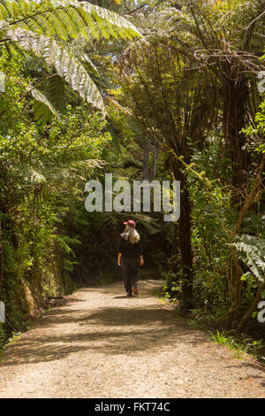 Caucasian woman walking on path in rural forest Banque D'Images