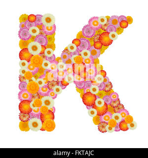 Lettre K alphabet à fleur de paille isolé sur fond blanc Banque D'Images