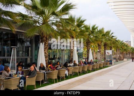 Terrasses de cafés, Palmeral De Las Sorpresas, promenade au port, Malaga, Andalousie, Espagne Banque D'Images