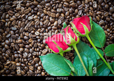 Rose rouge sur fond de grain de café Banque D'Images