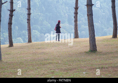 Femme debout sur la falaise entre pine tree Banque D'Images