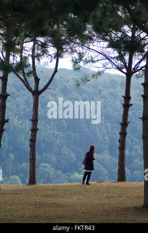 Femme debout sur la falaise entre pine tree Banque D'Images