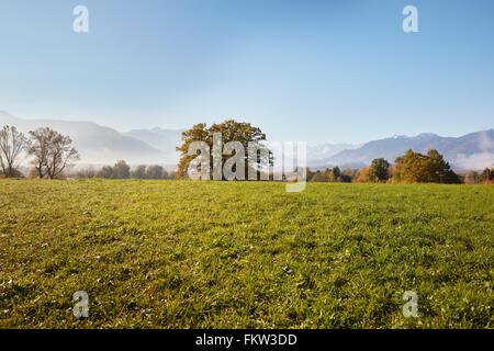 Paysage avec vue lointaine de Murnauer Moos, du Wetterstein, Murnau, Bavière, Allemagne Banque D'Images