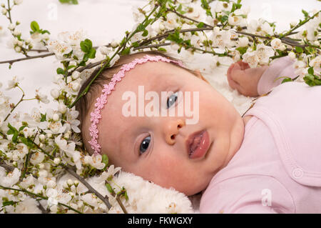 Magnifique petite fille se trouvant à Plum Blossom branches. Studio shot on white Banque D'Images