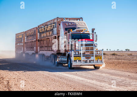 Road train transportant du bétail sur la route entre Bedourie Développement d'Eyre et de Birdsville, West Central Queensland Banque D'Images