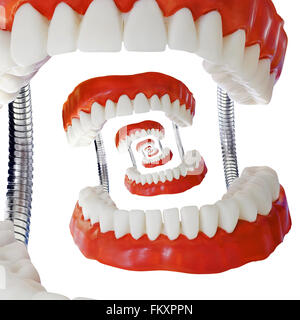 Effet Droste Modèle dentier éducatifs Banque D'Images