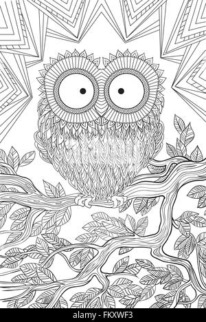 Owl oiseau posé sur une branche Illustration de Vecteur