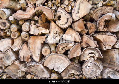 Vieux, érodés, tas de bois brun-gris avec des branches et des troncs de différentes tailles Banque D'Images