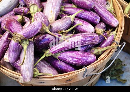 Bébé Mauve et blanc aubergine graffiti Banque D'Images