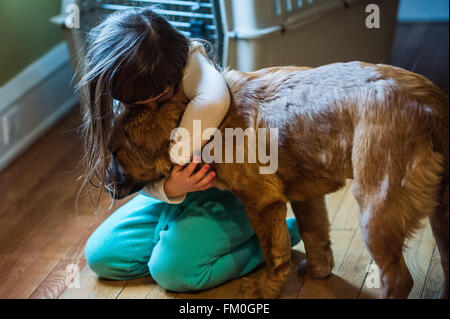 Brown Chow Labrador mix, puppy, 6 mois à 5 ans, de race blanche girl Banque D'Images