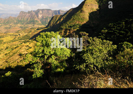 Contreforts des montagnes du Simien National Park, région d'Amhara, en Éthiopie Banque D'Images