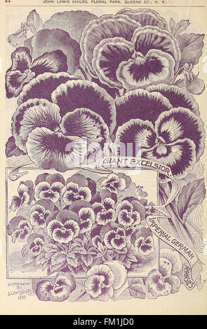 Childs' fleurs rares, légumes et fruits pour 1895 (1895) Banque D'Images