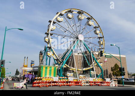 Ville du Temple 28 févr. 2016 - funs et balade en ville du Temple, Festival de camélia Banque D'Images