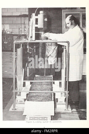 Cette étude de 1972 explore l'impact du sulfate d'ammonium et du phosphate d'ammonium sur l'inflammabilité des matériaux, fournissant des informations sur leurs propriétés chimiques et leur comportement lié au feu. Banque D'Images