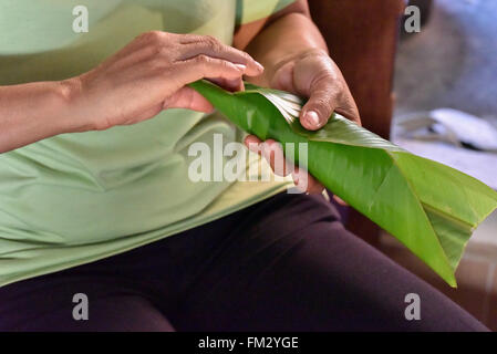 Woman wrapping de riz collant dans la feuille de banane Banque D'Images