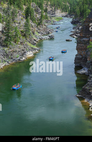 Les chevrons en flottant sur la gorge d'Alberton Clark Fork River près d'Alberton, Montana Banque D'Images