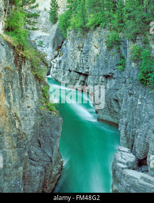 south fork flathead river dans une gorge étroite à meadow creek au-dessus du réservoir de chevaux affamés près de chevaux affamés, montana Banque D'Images