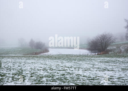 Étang couvert de glace dans la neige couverts prairie des champs sur une journée d'hiver brumeux Banque D'Images