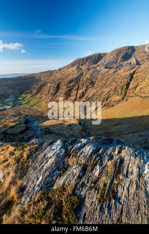 Lumière du matin plus Coomgira et Hungry Hill, Péninsule de Beara, comté de Cork, Irlande. Banque D'Images