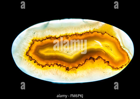 L'Afrique de l'onyx agate druzy naturel minéral pierre en studio Banque D'Images