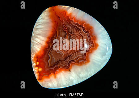 L'Afrique de l'onyx agate druzy naturel minéral pierre en studio Banque D'Images