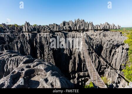 Madagascar, région du Nord-Ouest, Tsingy de Bemaraha, classé au Patrimoine Mondial par l'UNESCO Banque D'Images