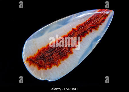 L'Afrique de l'onyx agate druzy naturel minéral pierre en studio Banque D'Images