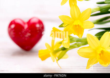 Bouquet de fleurs tulipes avec coeur comme symbole d'amour et de cadeaux Banque D'Images