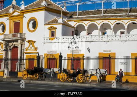 Espagne, Andalousie, Séville, la plaza de toros de la Maestranza, datant du dix-huitième siècle sévillan Baroque Banque D'Images