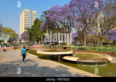 Zimbabwe, Harare, l'unité africaine Square (anciennement Cecil Square) Banque D'Images