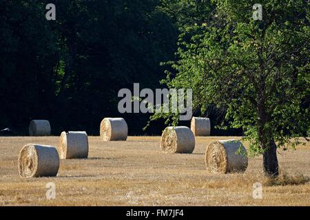 France, Doubs, Belfort, bottes de paille sur l'ensemble de Belfort Banque D'Images