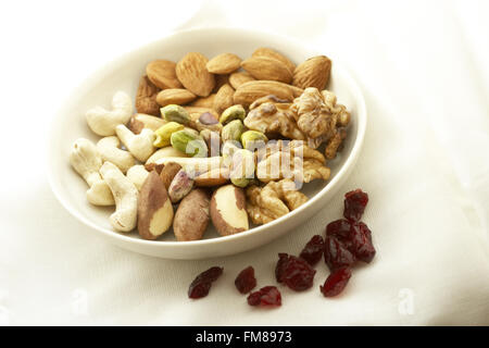 Bol blanc contenant des amandes, pistaches, noix de cajou, noix du Brésil, et petite grappe de canneberges séchées sur le côté Banque D'Images