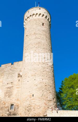 Estonie (pays baltes), Tallinn, vieille ville, classée au Patrimoine Mondial de l'UNESCO, la Tour Pikk Hermann, partie de la château de Toompea Banque D'Images