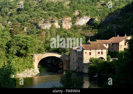 La France, l'Aveyron, les Causses et les Cévennes, paysage culturel agropastoraux méditerranéens, classé au Patrimoine Mondial de l'UNESCO, La Vallée de la Dourbie, Parc Naturel Régional des Grands Causses, La Roque Ste Marguerite, le Moulin de Corp (Moulin de corp) Banque D'Images