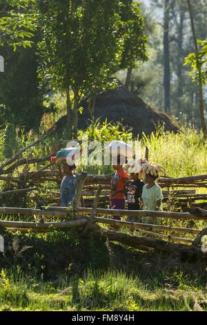 L'Indonésie, Timor Occidental, au sud du Timor central Regency, Nenas, Gunung Mutis Nature Reserve, les agriculteurs à revenir des champs Banque D'Images