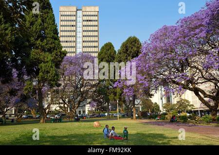 Zimbabwe, Harare, l'unité africaine Square (anciennement Cecil Square) Banque D'Images