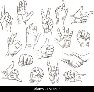 Vector set de mains et les gestes - contours illustration Illustration de Vecteur