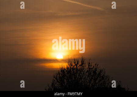 Londres, Royaume-Uni. 11 mars, 2016. Météo France : orange coucher de soleil sur le Nord de Londres : Crédit Dinendra Haria/Alamy Live News Banque D'Images