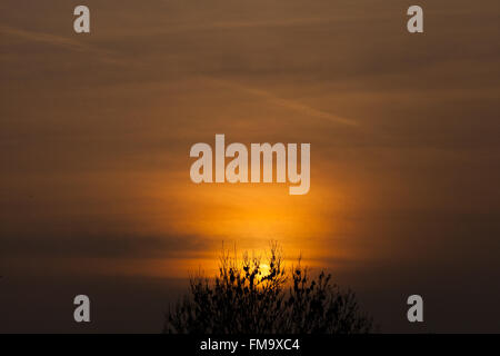 Londres, Royaume-Uni. 11 mars, 2016. Météo France : orange coucher de soleil sur le Nord de Londres : Crédit Dinendra Haria/Alamy Live News Banque D'Images