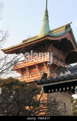 Le Japon, Kyoto, Tour, Gionkaku Banque D'Images