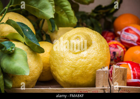 Fruits italien de Sorrente, le citron et les oranges Banque D'Images