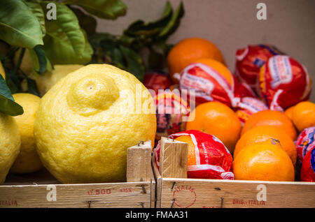 Fruits italien de Sorrente, le citron et les oranges Banque D'Images