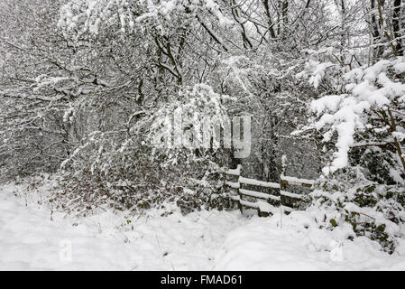 Stile menant dans un harfang English woodland avec des branches avec de la neige lourde. Banque D'Images