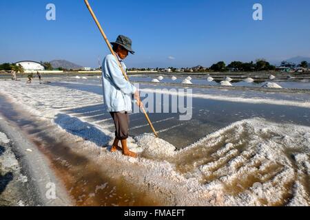 Vietnam, Ninh Thuan province, Phan Rang, salin, la récolte du sel dans les salins Banque D'Images