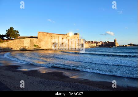 France, Pyrénées Orientales, Collioure, église de Notre Dame des Anges, le château royal du xiiie siècle Banque D'Images